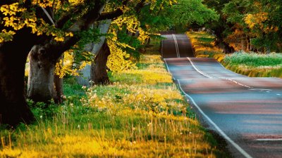 naturaleza