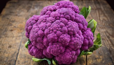 Purple Cauliflower jigsaw puzzle