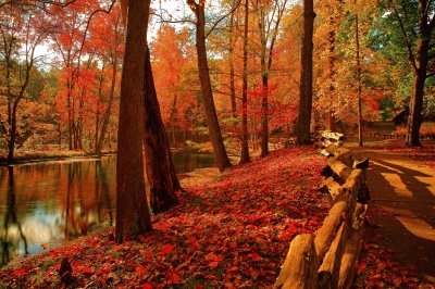 naturaleza