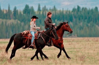 heartland jigsaw puzzle