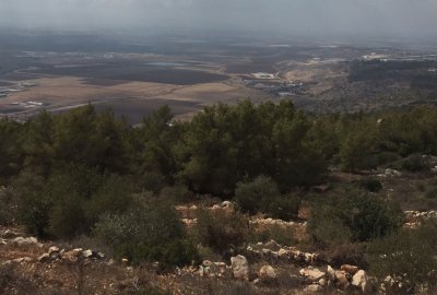 פאזל של The wish tree, Mount Gilon