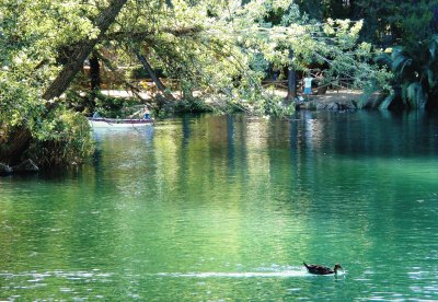 en el lago de anna