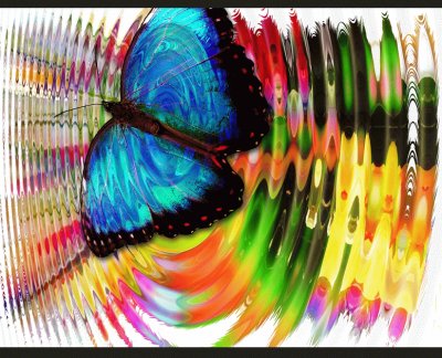 Papillon