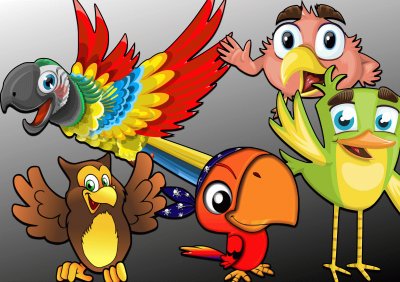 Oiseaux