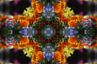 Flowers colour kaleidascope