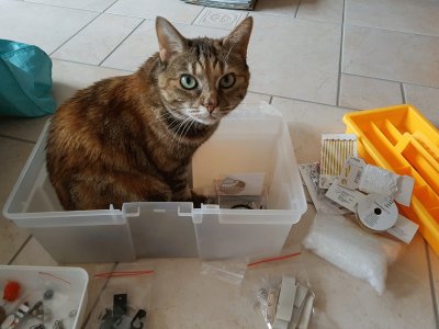 stubsy