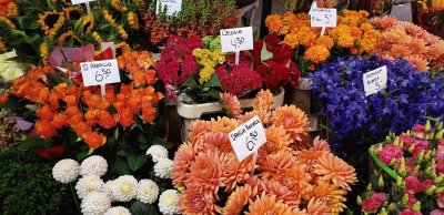 Flores en Amsterdam jigsaw puzzle