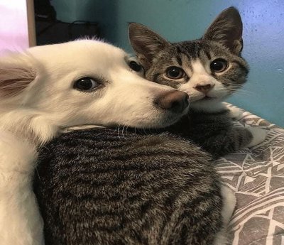 â™¥â™¥