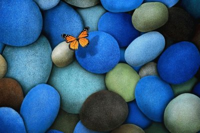 Piedras / Mariposa jigsaw puzzle