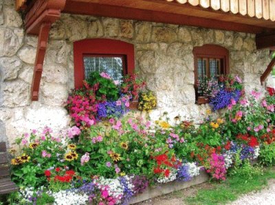 Casa con flores jigsaw puzzle