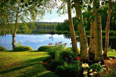 Nature