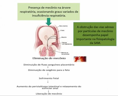 Quebra-cabeÃ§a 2