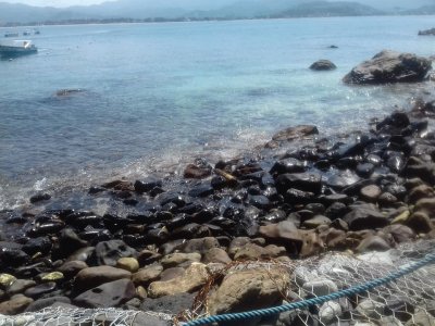 Playa Isla de Coral jigsaw puzzle