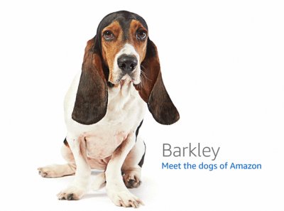 barkley jigsaw puzzle