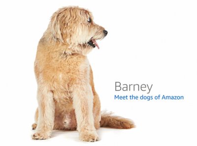 barney