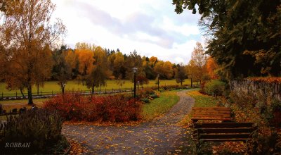 OtoÃ±o Suecia jigsaw puzzle