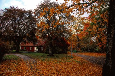 OtoÃ±o Suecia