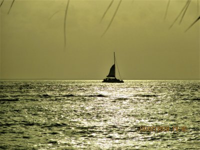 פאזל של Isla Mujeres, Quintana Roo.