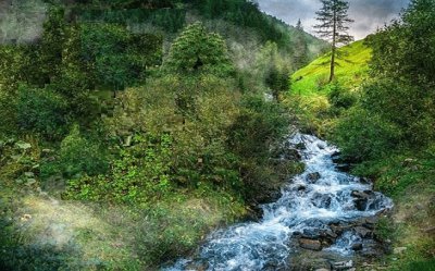 Nature