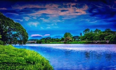 Nature