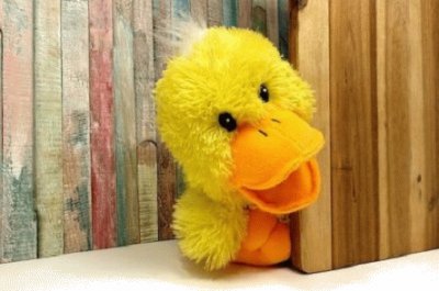 Toy