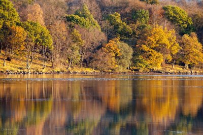 Autumn reflections jigsaw puzzle