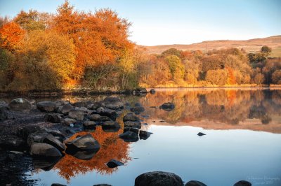 Autumn reflections Banton Loch jigsaw puzzle