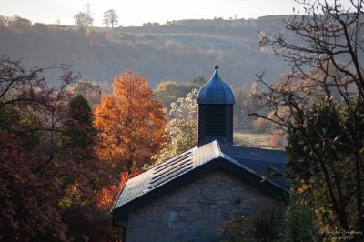 Autumn trees and rooftop jigsaw puzzle