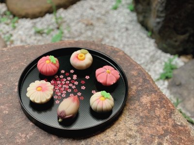 פאזל של Wagashi