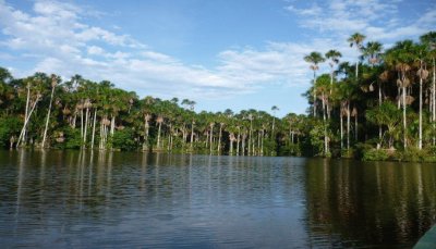 LAGO SANDOVAL/TAMBOPATA PERU jigsaw puzzle