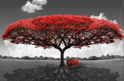 red tree jigsaw puzzle