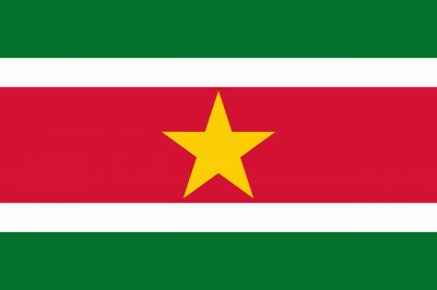 פאזל של Suriname Flag