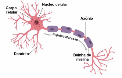 NeurÃ´nio jigsaw puzzle