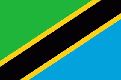 Tanzania Flag