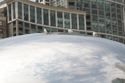 Chicago  on The Bean jigsaw puzzle