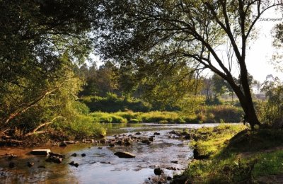 פאזל של pele river