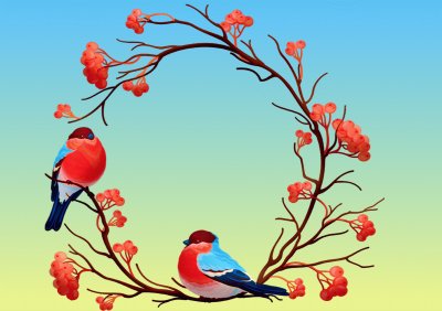 Oiseaux