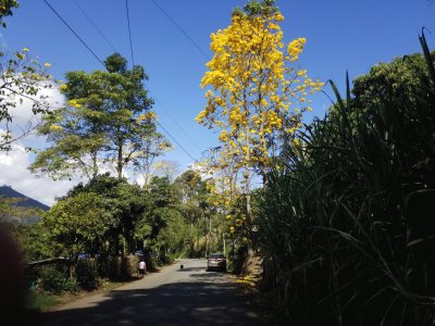 PAISAJE ANTIOQUIA