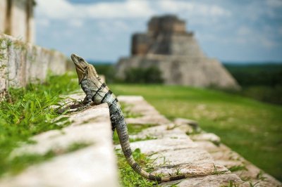 UXMAL, MAYAS