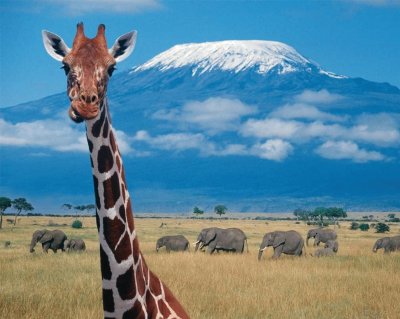 פאזל של Kilimanjaro