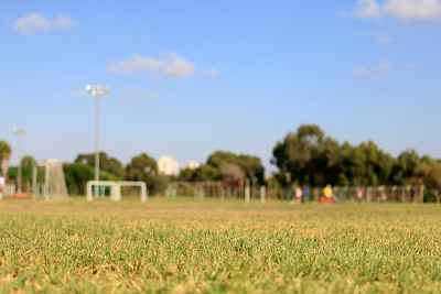 soccer field jigsaw puzzle