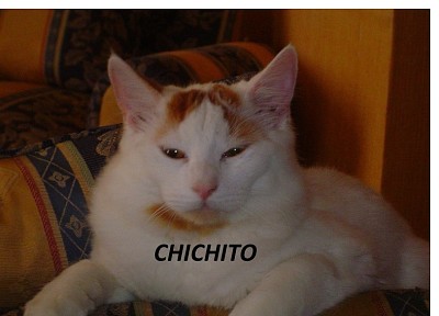 CHABE
