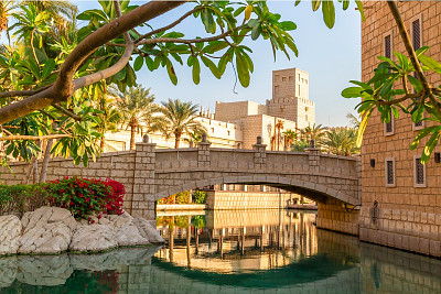 JardÃ­n. Dubai jigsaw puzzle