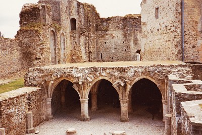 Ruines Ã  Briquebec