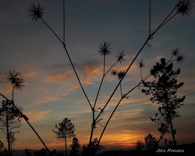 Amanecer en Girona