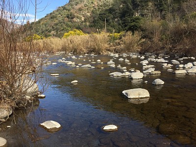 dolce acqua