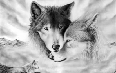 LOVER WOLVES