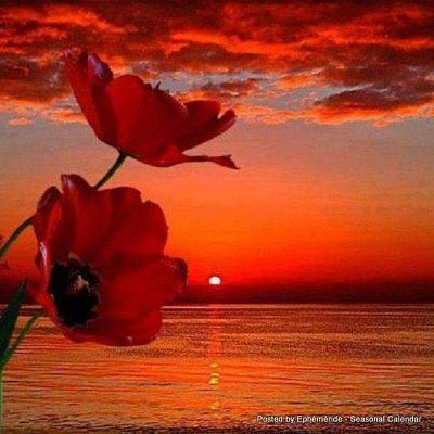RED SKY