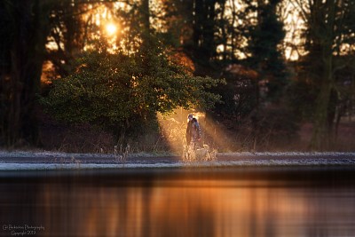 sun rays Kilsyth Curling pond