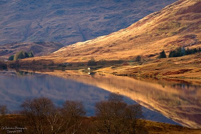 Loch Gold jigsaw puzzle